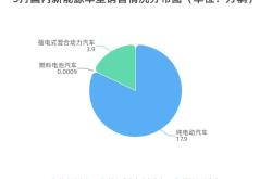 2024年1月新能源与燃油车型销量排行榜 | 盖世汽车国内乘用车终端销量数据