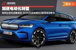 斯柯达发布小型纯电动汽车Epiq