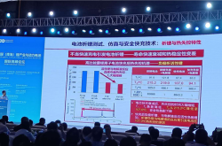 欧阳明高炮轰：电动汽车是汽车低碳化主流技术，efuel不是