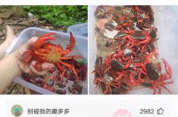 “又是改款，又是降价，请问谁敢冲？”丨电车伤疤