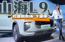 捷途旅行者C-DM官图正式发布 定名捷途山海T2