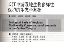 弗劳恩霍夫研究所探讨车用阻燃剂环保性