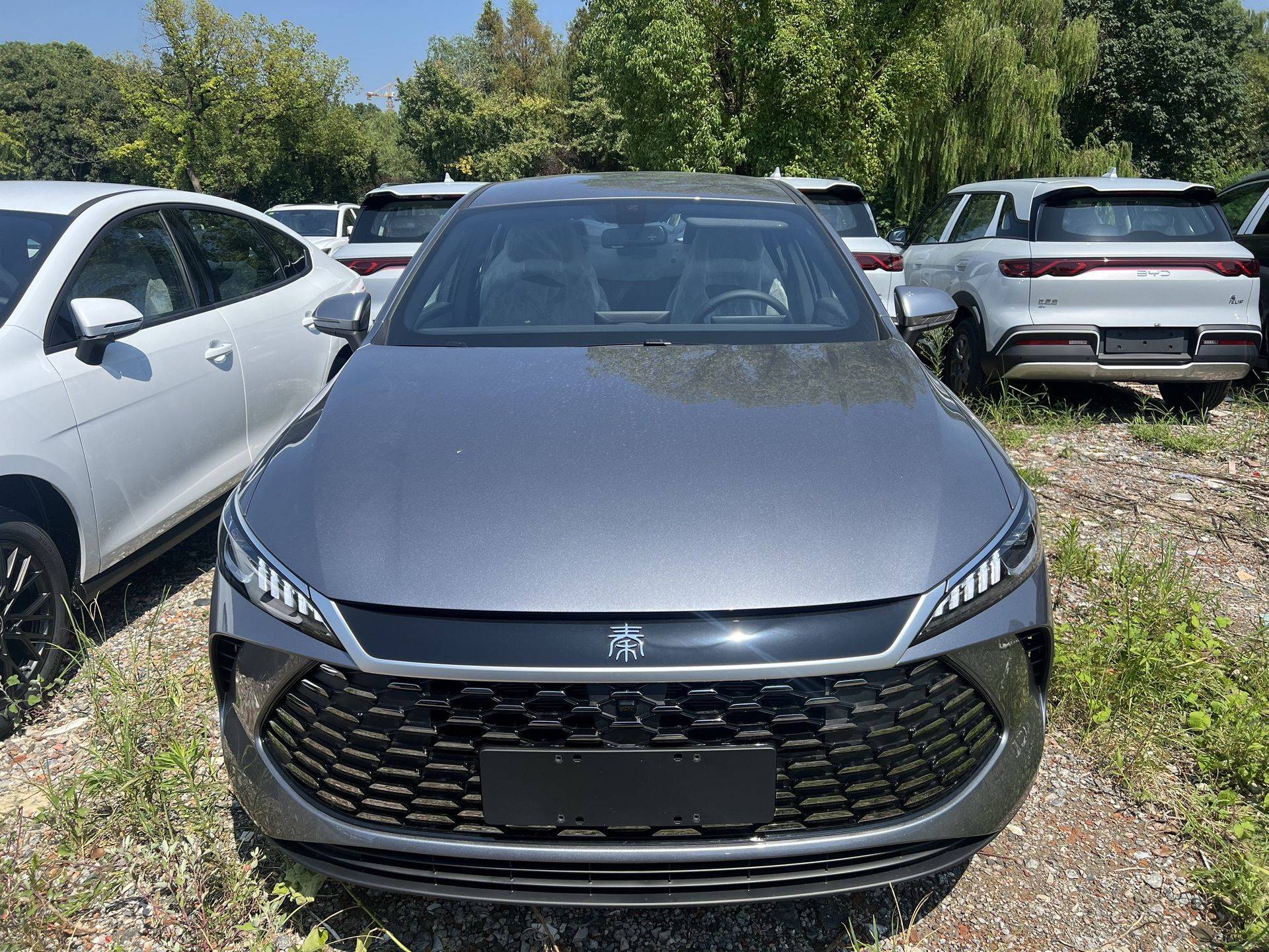 2026款秦L DM-i /2026款秦PLUS DM-i 上新210KM长续航，售8.98-12.28万元